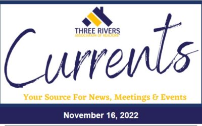 Newsletter – November 16, 2022