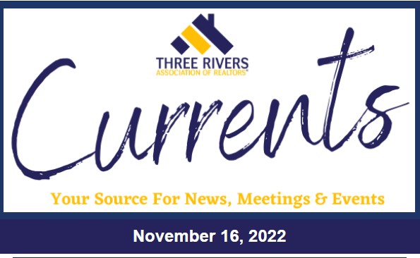 Newsletter – November 16, 2022