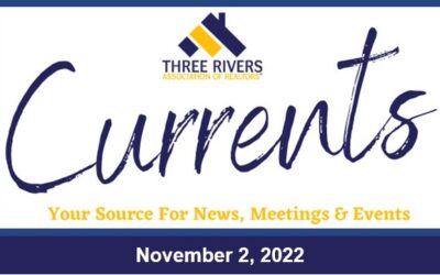 Newsletter – November 4, 2022