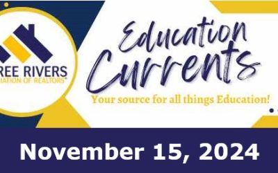 Newsletter – November 15, 2024